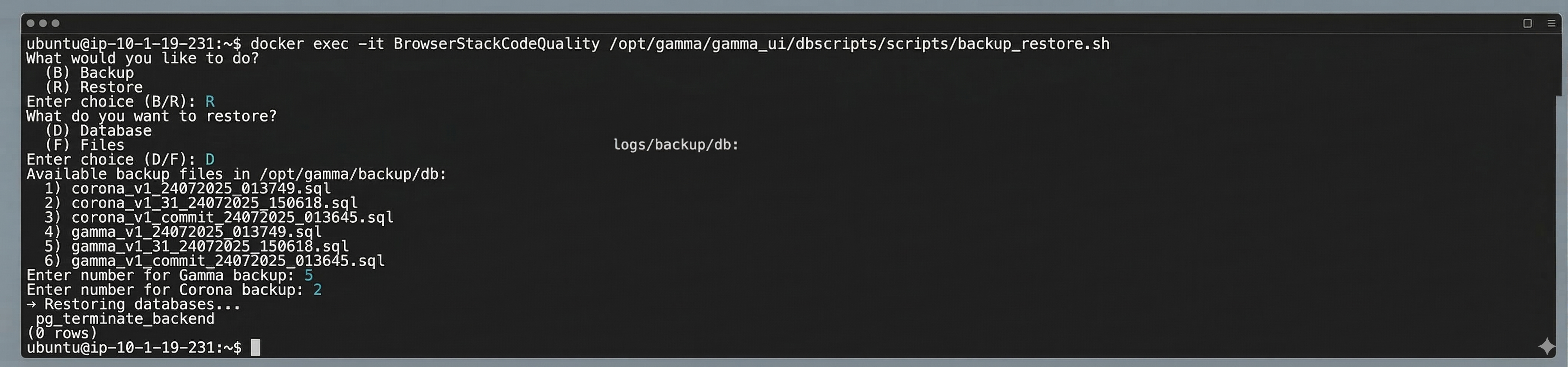 CLI Restore Configuration