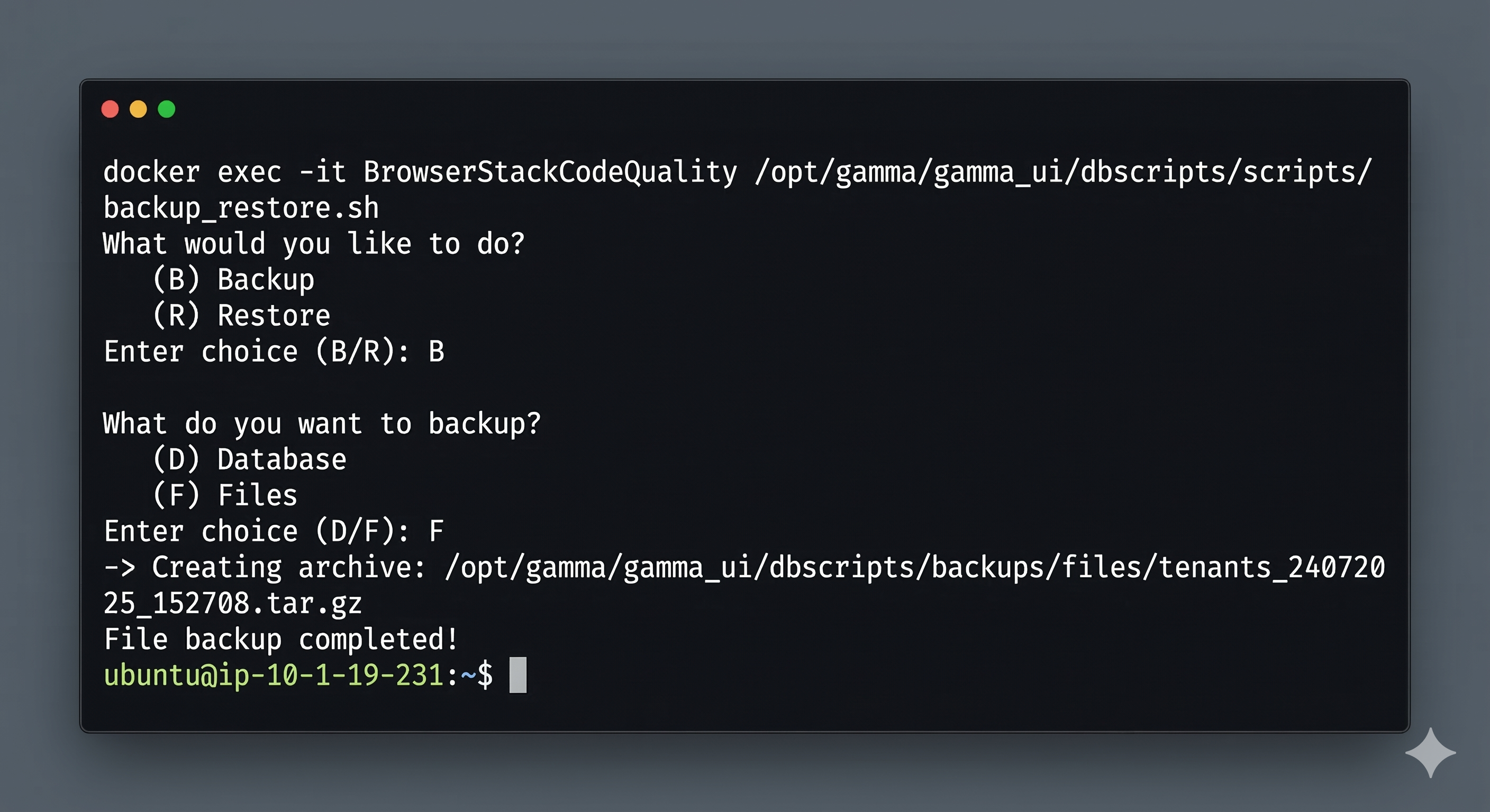 CLI File Backup Configuration
