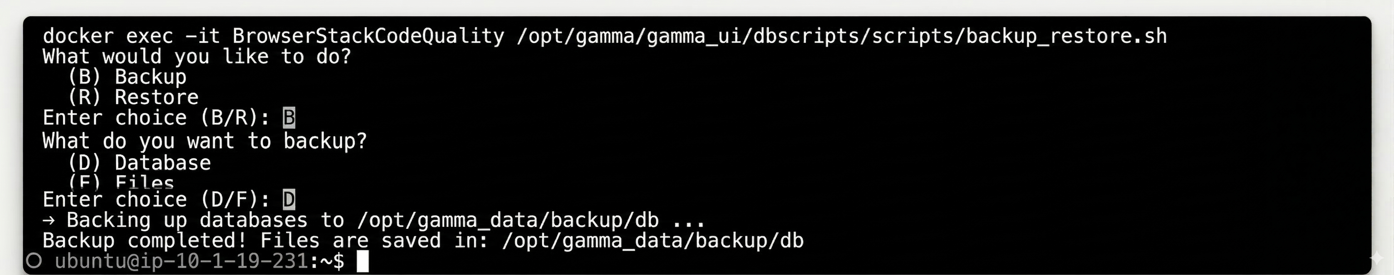 CLI Backup Configuration