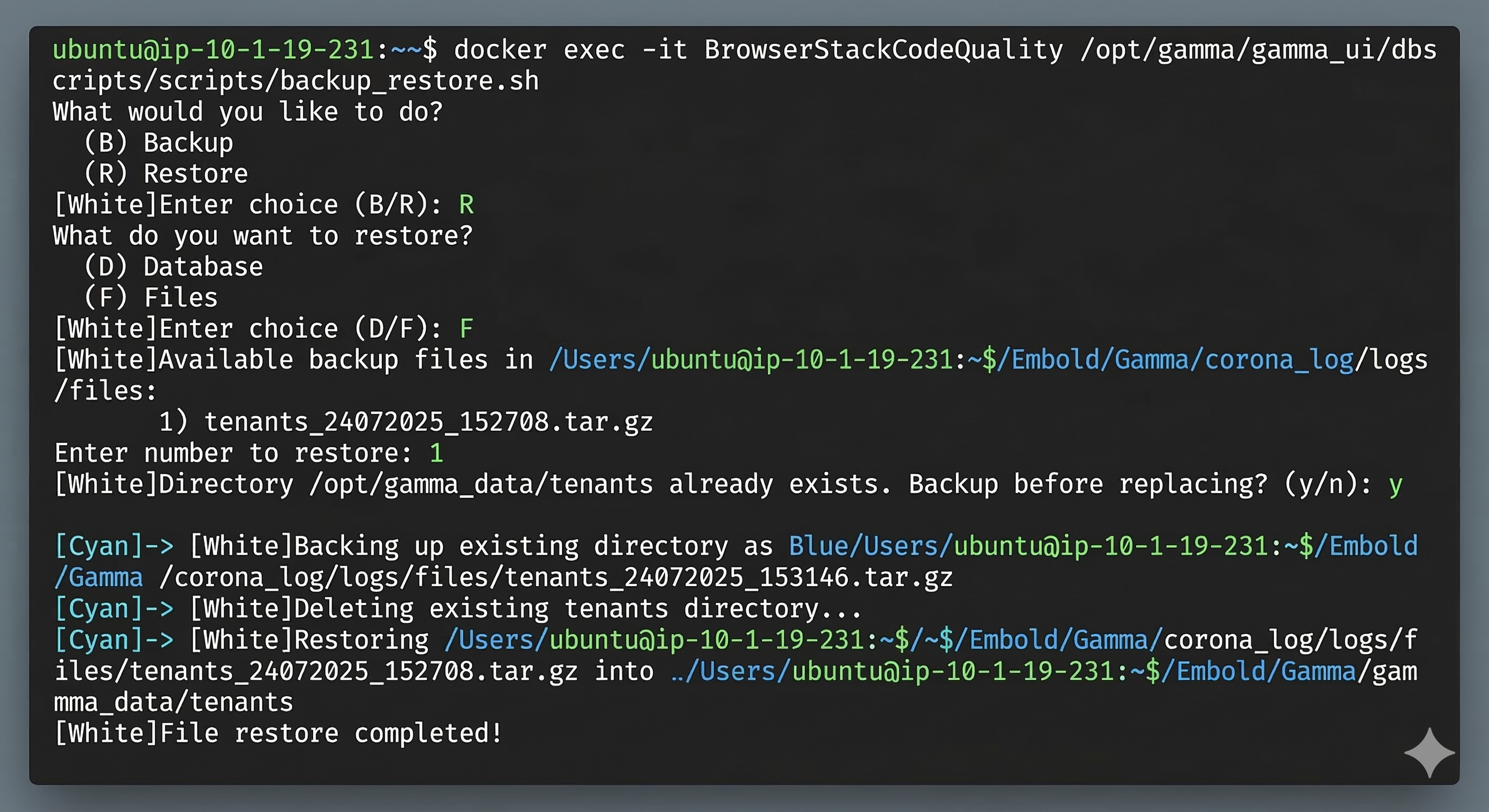 CLI File Restore Configuration